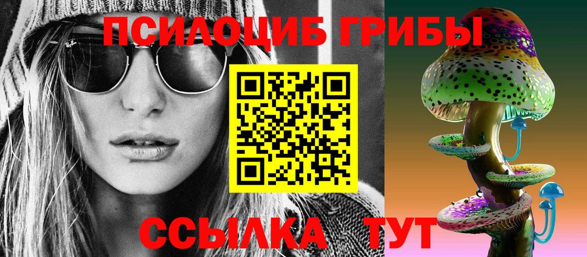 Астрахань  Псилоцибиновые грибы Psilocybe  Вход с VPN  Галлюциногенные грибы мухоморы 